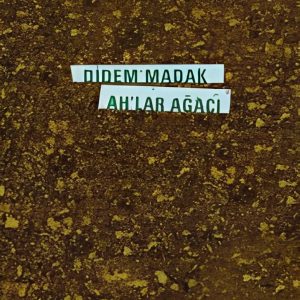 Didem Madak Ah’lar Ağacı İnceleme
